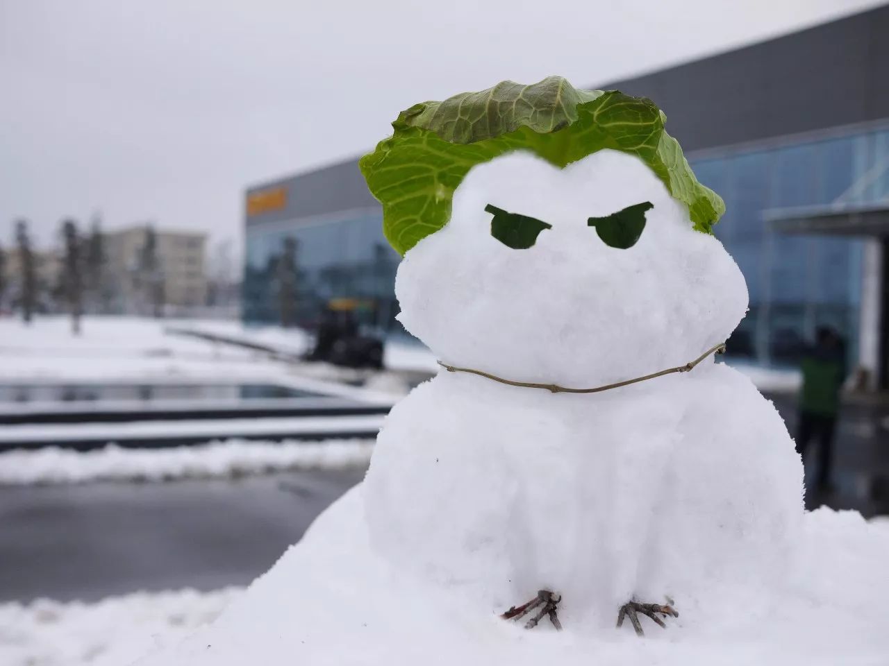 俄罗斯专享会294(中国游)官方网站